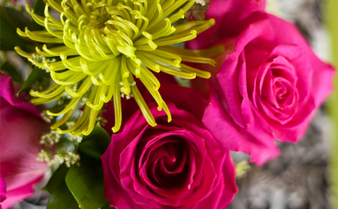 MB FLEURS - fleuriste à Carcassonne Meilleur Ouvrier de France